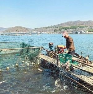 哈爾濱市阿城區及周邊以魚宴為特色餐廳信息，紅星湖魚宴，哈爾濱人的周末——阿城美食