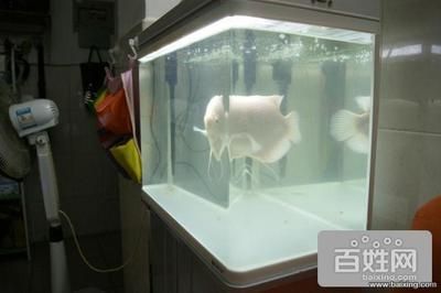 濟(jì)南二手魚(yú)缸在濟(jì)南二手魚(yú)缸哪里有暖風(fēng)水箱在哪里賣(mài)的，二手魚(yú)缸的購(gòu)買(mǎi)