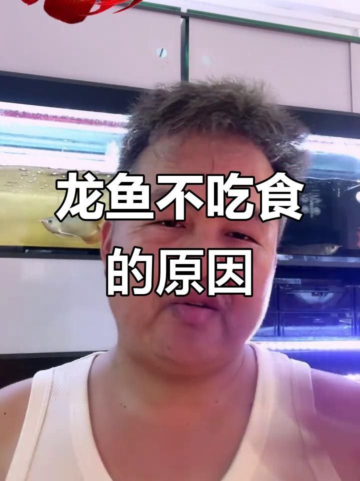 龍魚拒食怎么辦找準(zhǔn)原因輕松恢復(fù)食欲，龍魚不愛吃食怎么辦