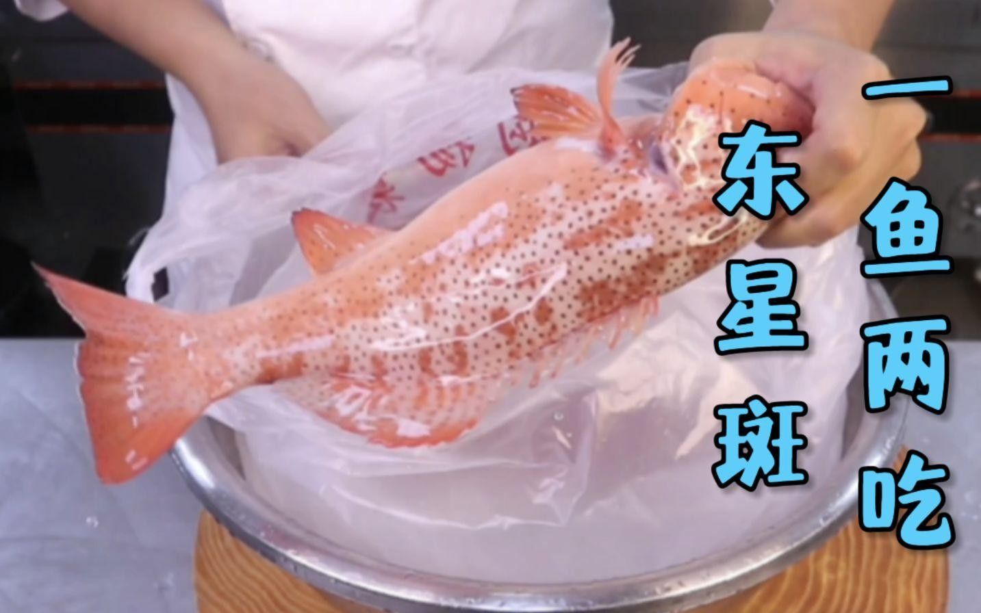 眼斑魚的最佳烹飪方法是什么眼斑魚的最佳烹飪方法是什么，眼斑魚有哪些營養價值？