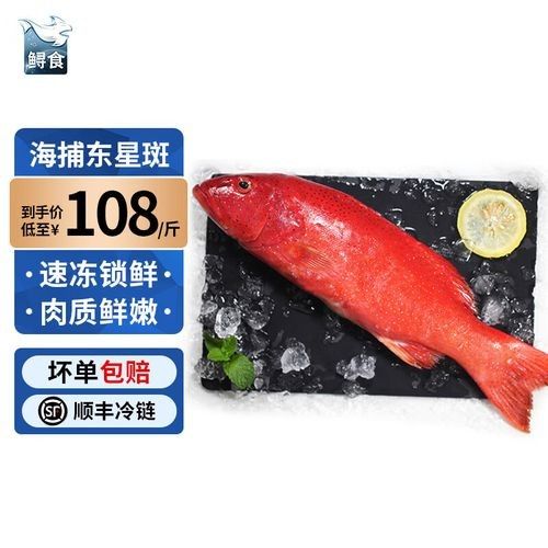 眼斑魚的最佳烹飪方法是什么眼斑魚的最佳烹飪方法是什么，眼斑魚有哪些營養價值？