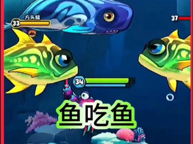 龍魚可以吃海蝦嗎，龍魚吃海蝦需要注意哪些問題，關(guān)于龍魚可以吃海蝦的問題