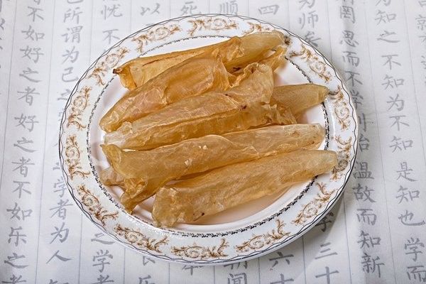 海龍魚的基本介紹，你知道如何正確飼養寵物海龍魚嗎