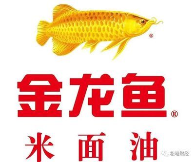 雷龍魚的養殖需要考慮養殖哪種雷龍魚的經驗和技術要求，養殖雷龍魚需要考慮哪些因素