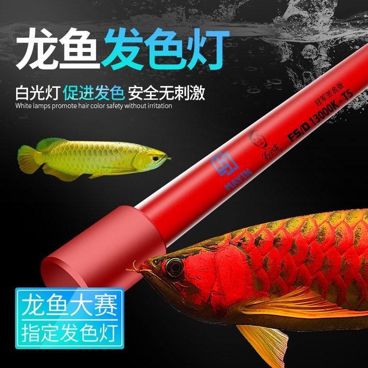 龍魚發色專用燈選擇要點和主流產品推薦龍魚發色燈，龍魚發色專用燈品牌及代表性代表性產品推薦