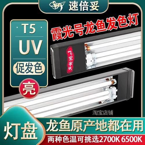 龍魚發色專用燈選擇要點和主流產品推薦龍魚發色燈，龍魚發色專用燈品牌及代表性代表性產品推薦