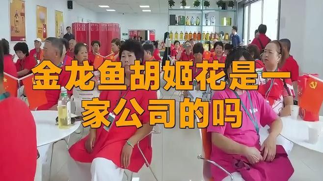 金龍魚是哪里的品牌創新視界，揭秘金龍魚背后的跨國企業新浪財經集團介紹