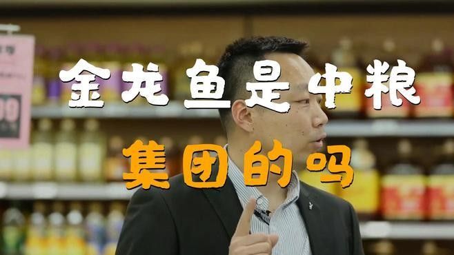 金龍魚是哪里的品牌創新視界，揭秘金龍魚背后的跨國企業新浪財經集團介紹