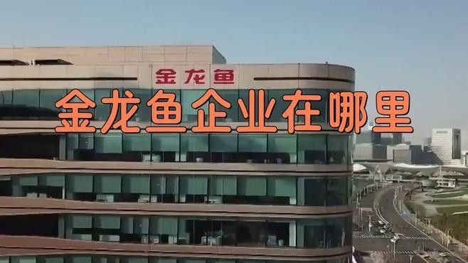 金龍魚是哪里的品牌創新視界，揭秘金龍魚背后的跨國企業新浪財經集團介紹