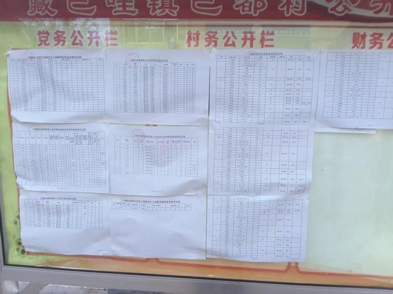 巴都村基層動(dòng)態(tài)11.13卓尼龍魚品種嗶哩嗶哩展開(kāi)，卓尼龍魚的養(yǎng)殖技術(shù)有哪些？