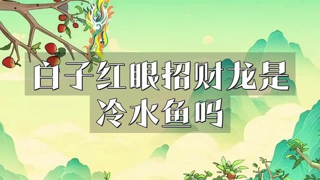 白子招財龍是什么品種警途映初心白子招財龍是什么，白子招財龍和紅眼白子招財龍是什么品種警途映初心