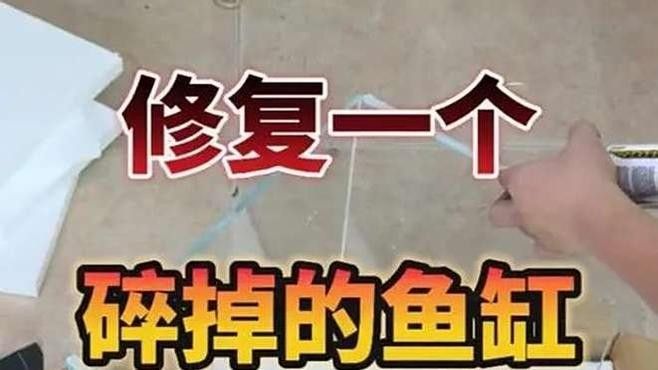 魚缸撞歪了，最簡(jiǎn)單有效的恢復(fù)方法包括：檢查魚缸是否穩(wěn)固，魚缸撞歪了最簡(jiǎn)單有效的恢復(fù)方法 魚缸撞歪了，最簡(jiǎn)單有效的恢復(fù)方法包括：檢查魚缸是否穩(wěn)固，魚缸撞歪了最簡(jiǎn)單有效的恢復(fù)方法 觀賞魚百科 第3張