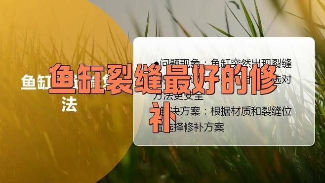 魚缸撞歪了，最簡(jiǎn)單有效的恢復(fù)方法包括：檢查魚缸是否穩(wěn)固，魚缸撞歪了最簡(jiǎn)單有效的恢復(fù)方法 魚缸撞歪了，最簡(jiǎn)單有效的恢復(fù)方法包括：檢查魚缸是否穩(wěn)固，魚缸撞歪了最簡(jiǎn)單有效的恢復(fù)方法 觀賞魚百科 第2張