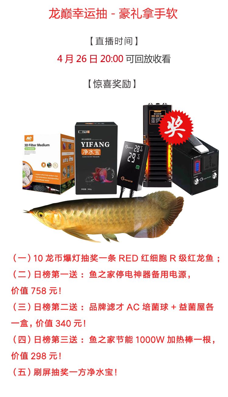 祥龍水族聯(lián)盟魚友說：這么多多抽獎的，紅龍，魚缸都誰中了？，10龍幣爆燈抽r級紅龍日榜豪禮送不停
