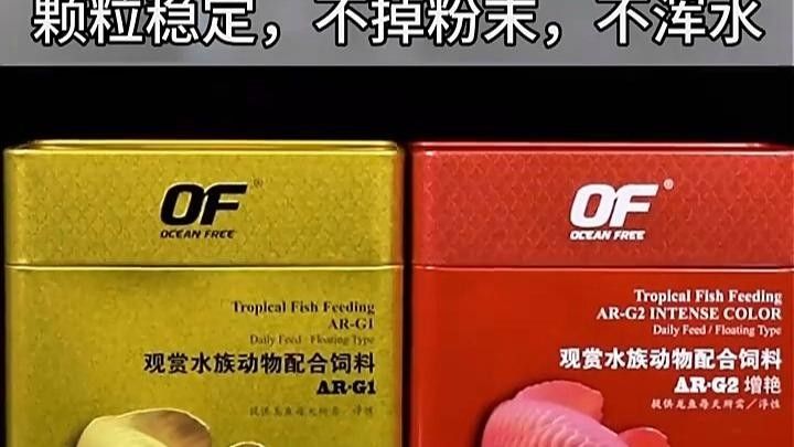 龍魚不吃顆粒飼料的解決方案，龍魚不吃顆粒飼料教你如何成功改口全民小視頻