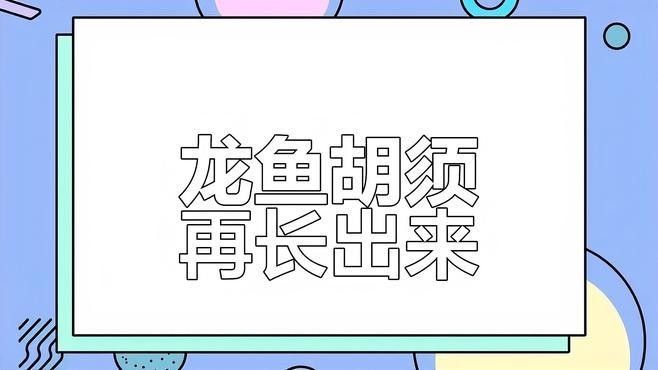 龍魚胡須斷了，能長出來嗎，江月行客第406話龍魚胡須斷了還能長出來嗎