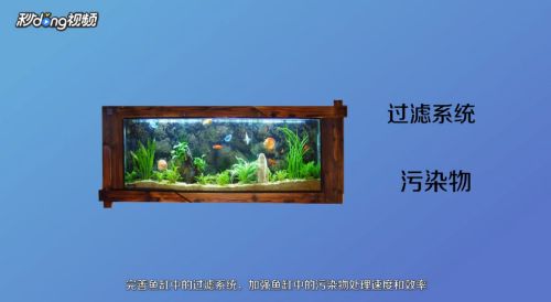 觀賞魚游動(dòng)速度快的觀賞魚排名，游動(dòng)速度快的觀賞魚排名
