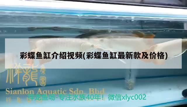 紅龍魚品種區分圖解大全大圖和視頻：讓養魚愛好者輕松認識紅龍魚品種，紅龍魚品種區分圖解大全