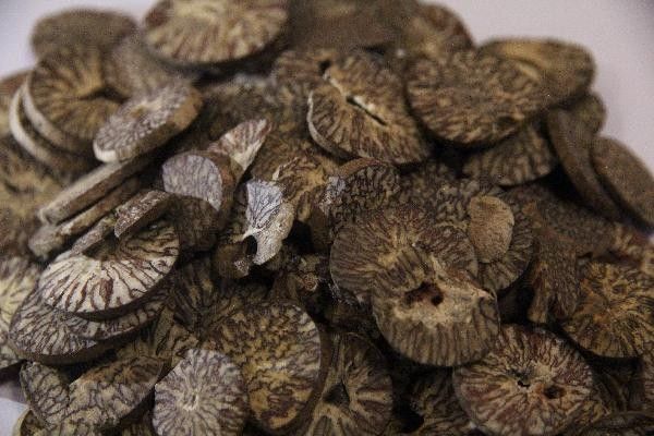 海龍的功效與作用有哪些，“海金龍”的功效與作用海金龍的功效與作用有哪些