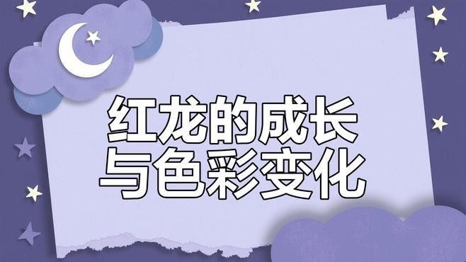 龍川紅龍魚的顏色變化三個(gè)關(guān)鍵階段及對應(yīng)的簡單顏色描述，紅龍魚發(fā)色技巧或品種大揭秘:辣椒、血紅與橙紅龍的差異