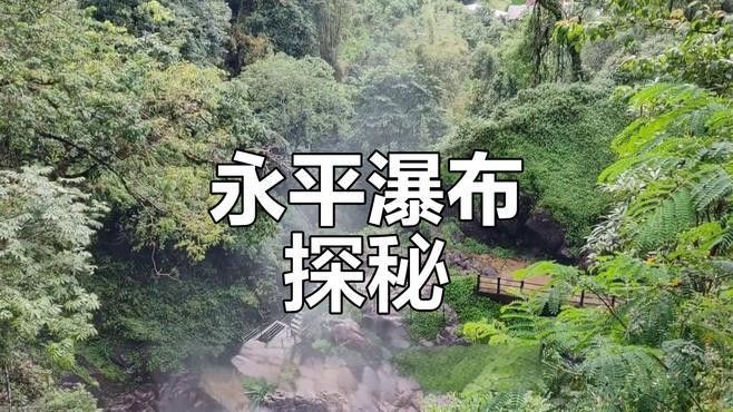 紅河地區的野生魚類有哪些？，云南紅河地區的野生魚類
