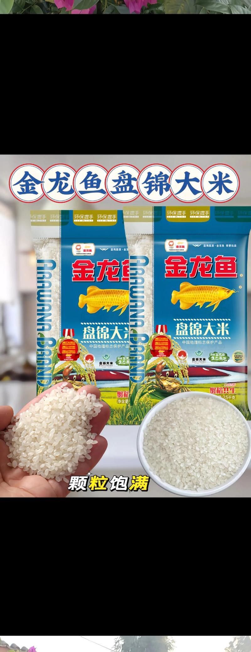 金龍魚有哪些高端系列？，武邑金龍魚在國內屬于中高端檔次