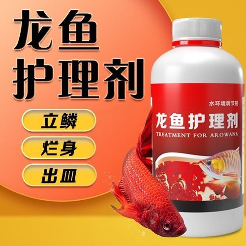 龍魚蒙眼的治療方法有哪些龍魚蒙眼治療方法有哪些，龍魚蒙眼原因及解決方法