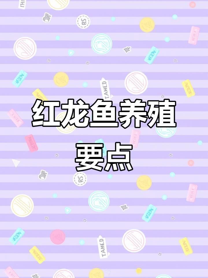 廬江紅龍魚飼養技巧:如何避免發黃保持紅色全民小視頻，廬江紅龍魚的飼養技巧
