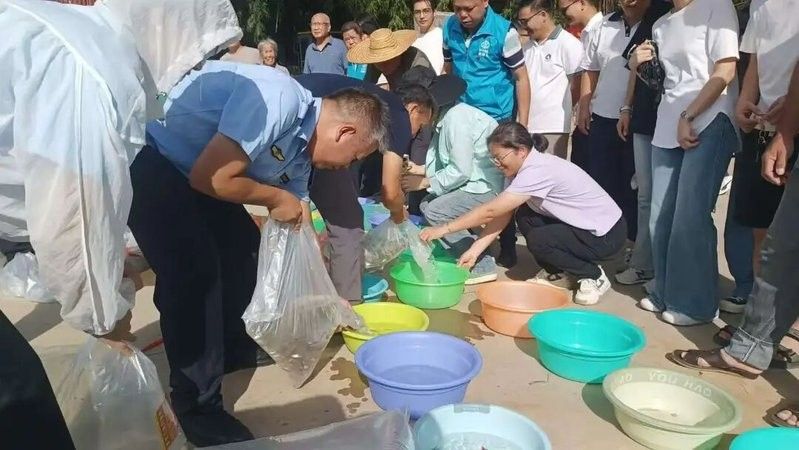 鹿寨龍魚的養(yǎng)殖技術有哪些？，廣西柳州市鹿寨縣人民政府門戶網(wǎng)站鹿寨縣“鹿(文化”發(fā)展調研