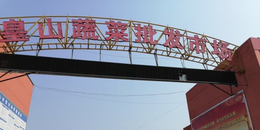 臨沂河東水產市場在哪里探點工坊臨沂河東海鮮市場，臨沂河東水產市場