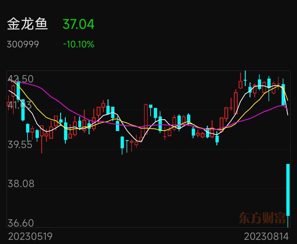 金頭金龍魚的飼養(yǎng)技巧（-金頭金龍魚應該如何進行日常清潔）