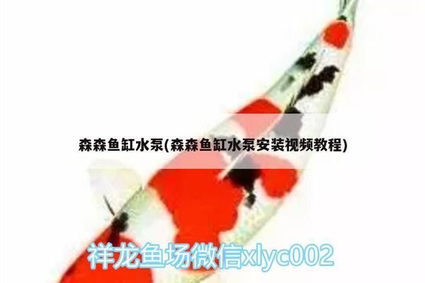 龍魚(yú)時(shí)水溫的適宜范圍是20-28攝氏度，養(yǎng)殖龍魚(yú)時(shí)，水溫的適宜范圍是20-28攝氏度