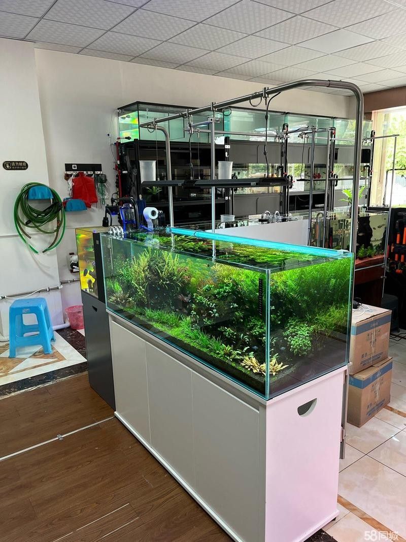 廣安觀賞魚批發市場是一個集觀賞魚養殖、銷售和相關服務于一體的大型市場，廣安市有哪些花鳥寵物市場