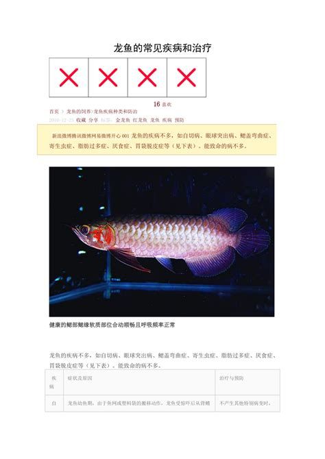 龍魚(yú)（arowana）生病后的存活時(shí)間詳細(xì)拆解，關(guān)于龍魚(yú)生病后的存活時(shí)間