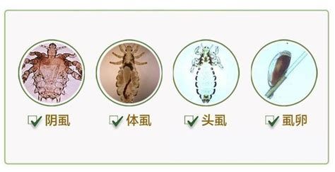 龍魚外寄生不治療是否會死亡，，龍魚外寄生不治療會死亡嗎