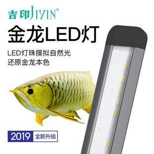 龍魚燈選購攻略，水族燈具推薦