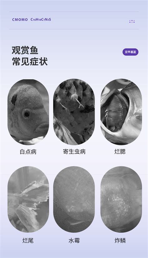 哪些藥物可以有效治療龍魚(yú)病？，治療龍魚(yú)病的藥物有哪些