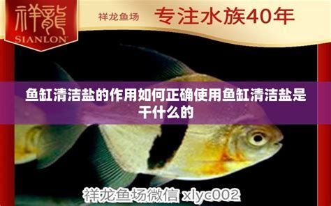 龍魚鹽放多了如何快速恢復(fù)？，龍魚鹽放多了如何快速恢復(fù)