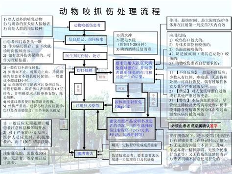 被龍魚咬了如何預防感染？，被龍魚咬傷后的詳細處理指南與后續護理建議