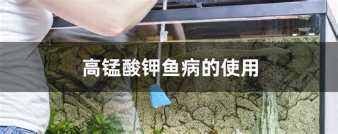 還有哪些藥物對龍魚有害？，龍魚養(yǎng)殖中的藥物使用誤區(qū)
