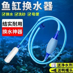 龍魚生病了應該換多少水？，“龍魚生病了應該換多少水”的詳盡指南在日常養護中