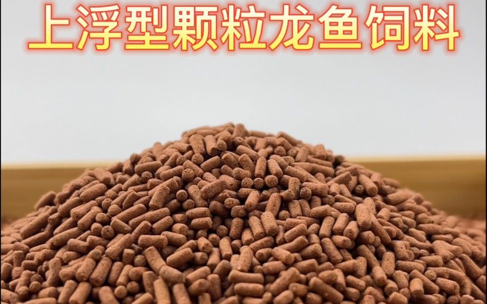 上浮型龍魚飼料有哪些品牌推薦？，上浮型龍魚飼料品牌推薦