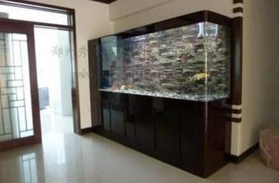 龍魚很難養嗎（龍魚很難養嗎為什么），龍魚很難養嗎（龍魚很難養嗎（龍魚很難養嗎為什么）