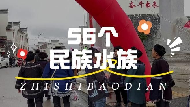 水族的獨特文化與傳統小婷陪你看世界一分鐘了解一個民族嗶哩聽（一分鐘了解一個民族——水族）