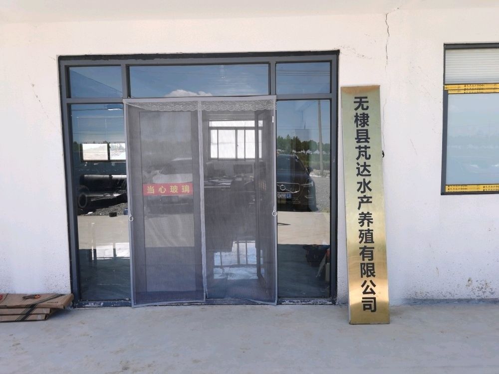 無棣龍魚的市場價格是多少？（無棣龍魚養殖技巧:從食物到水質全攻略全民小視頻） 無棣龍魚的市場價格是多少？（無棣龍魚養殖技巧:從食物到水質全攻略全民小視頻） 觀賞魚百科 第3張
