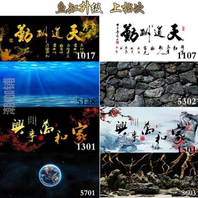 龍魚魚缸背景圖片大全超清，（魚缸背景圖片大全）