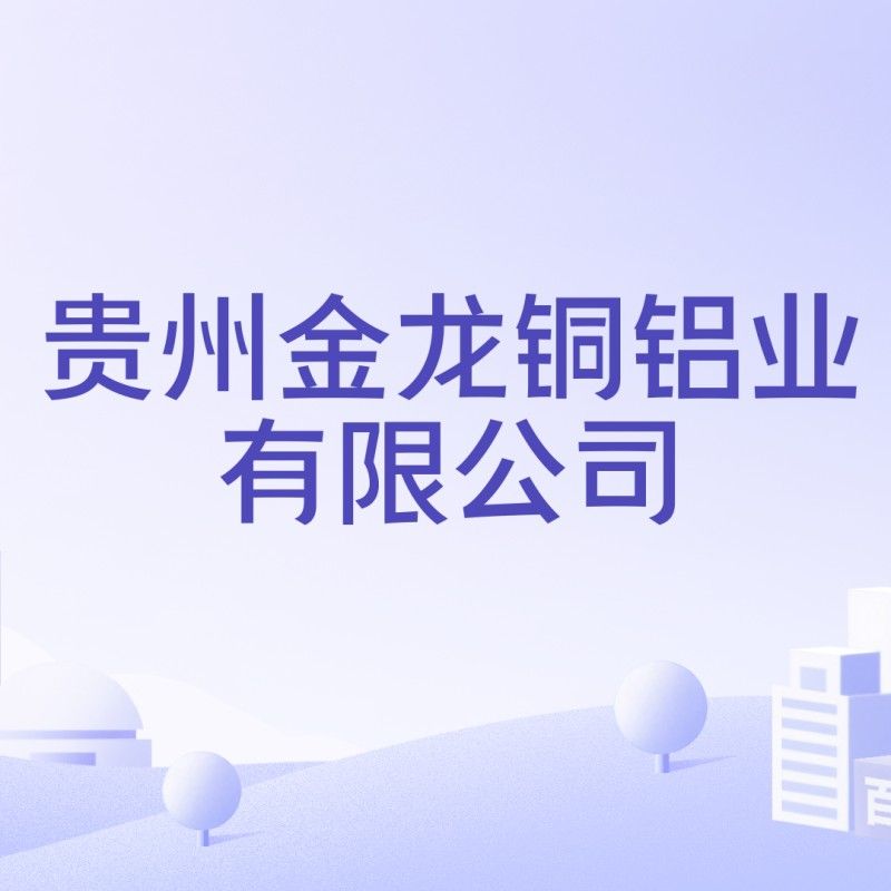 金龍集團股份有限公司（以下簡稱“金龍集團”是一家（貴州金龍集團股份有限公司的主要業務是什么？）