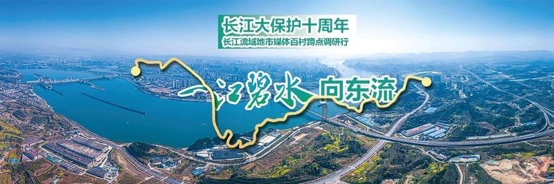 銅官山龍魚飼養技巧與注意事項與注意事項蘿蔓與書（銅官山龍魚的市場價格是多少？）