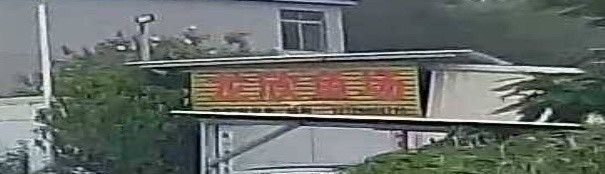 鴨嘴鯊魚，祥龍魚場(chǎng)，廣州龍魚祥龍魚場(chǎng)，（鴨嘴鯊魚和祥龍魚場(chǎng)的區(qū)別）