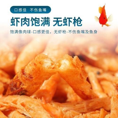 友誼龍魚的生態(tài)習(xí)性、繁殖方式以及在水族館的展示（關(guān)于友誼龍魚的介紹）